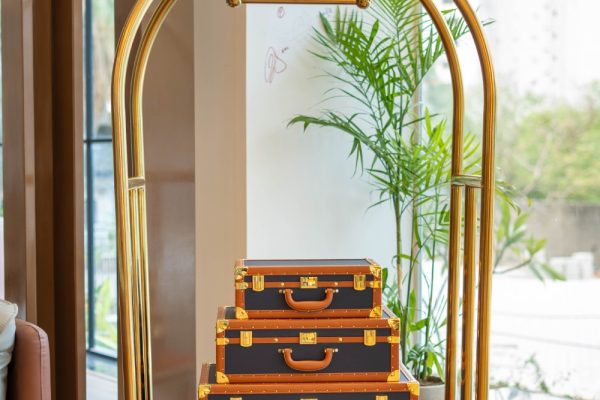 Trunk-Trolley (39)