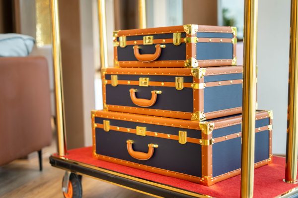 Trunk-Trolley (53)