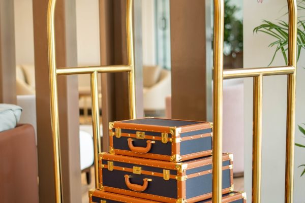 Trunk-Trolley (90)